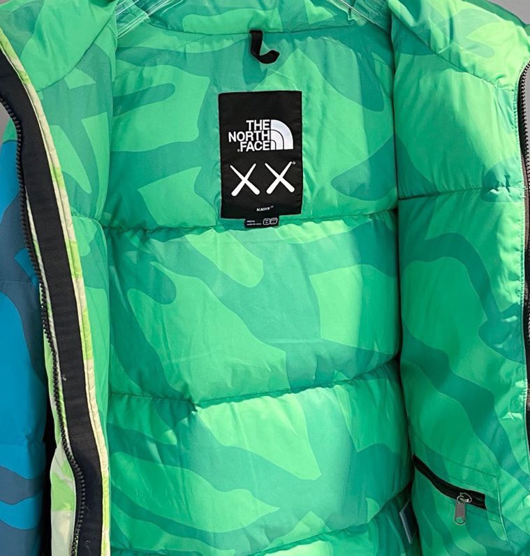 The North Face Down Jackets